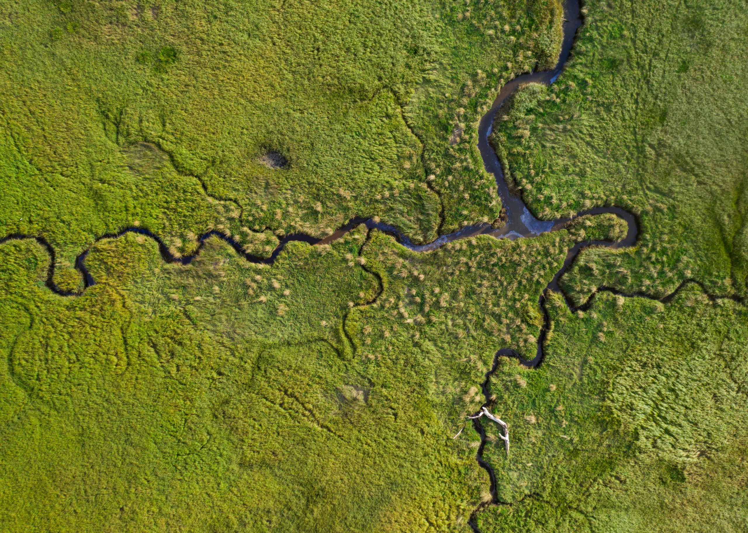 EPA and Army Corps Seek Additional Comments on Proposed Water Rule That Goes Against Established Science